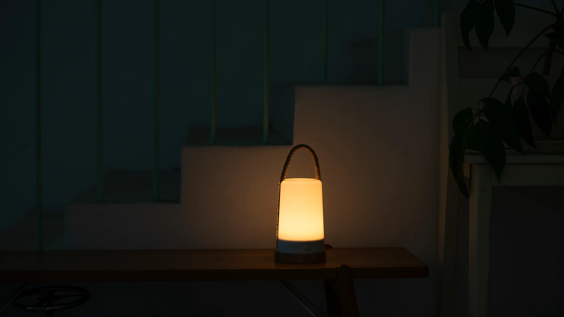 Wild Land High Lumen Jade - Image 7