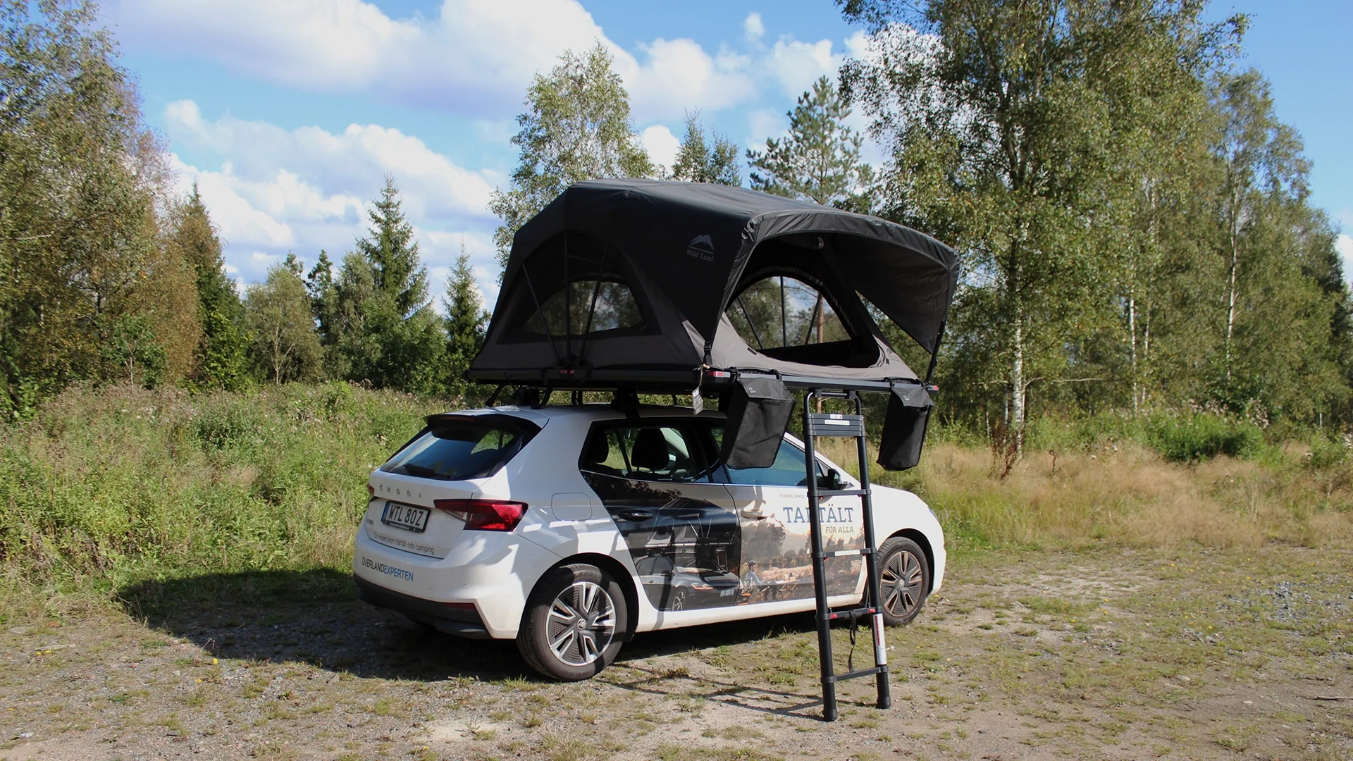 Wild Land Wild Cruiser 160 - Image 4