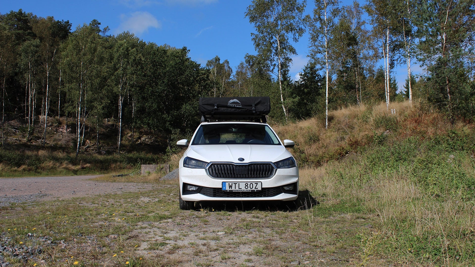 Wild Land Wild Cruiser 160 - Image 6
