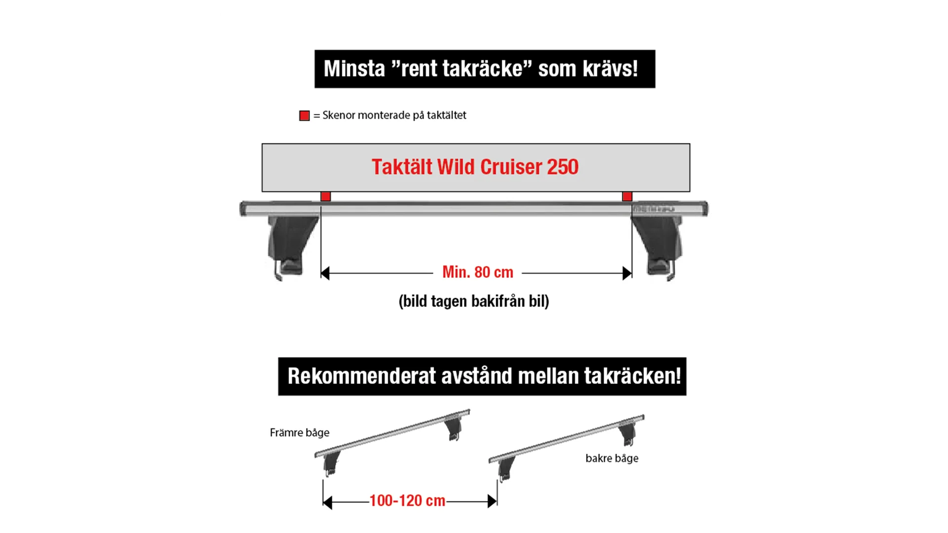 Wild Land Wild Cruiser 250 - Image 9